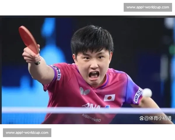 张本智和 “语言系统混乱” 背后：双语成长的文化密码与身份困境