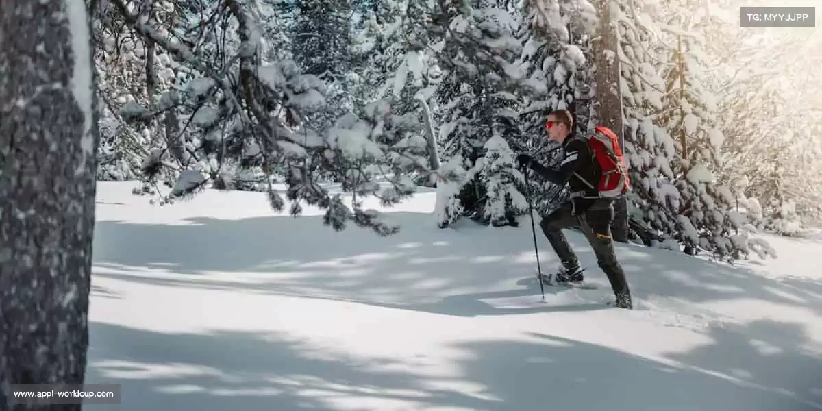 行业领先的理由